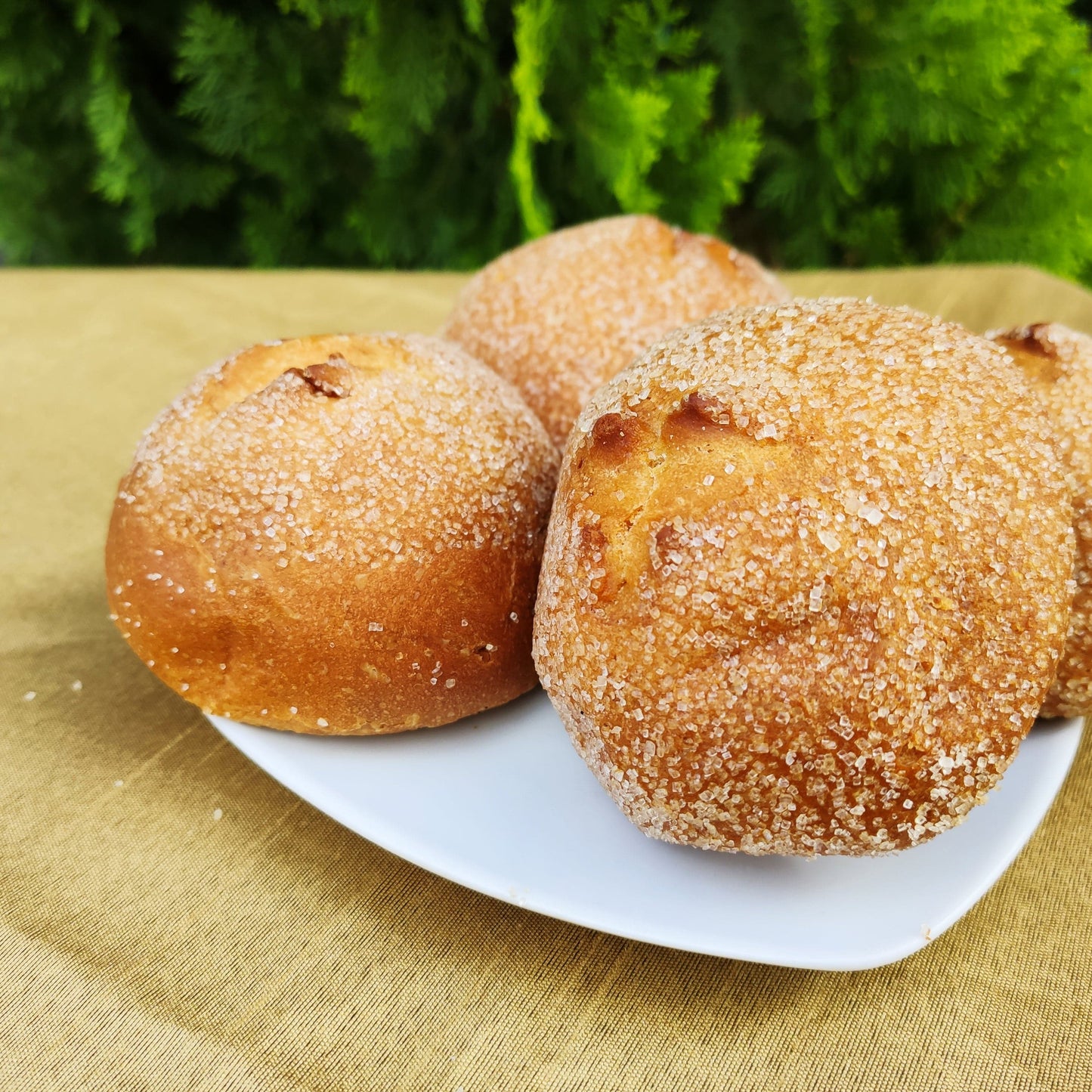 Bollito de yema Tabora. 140g. Tabora