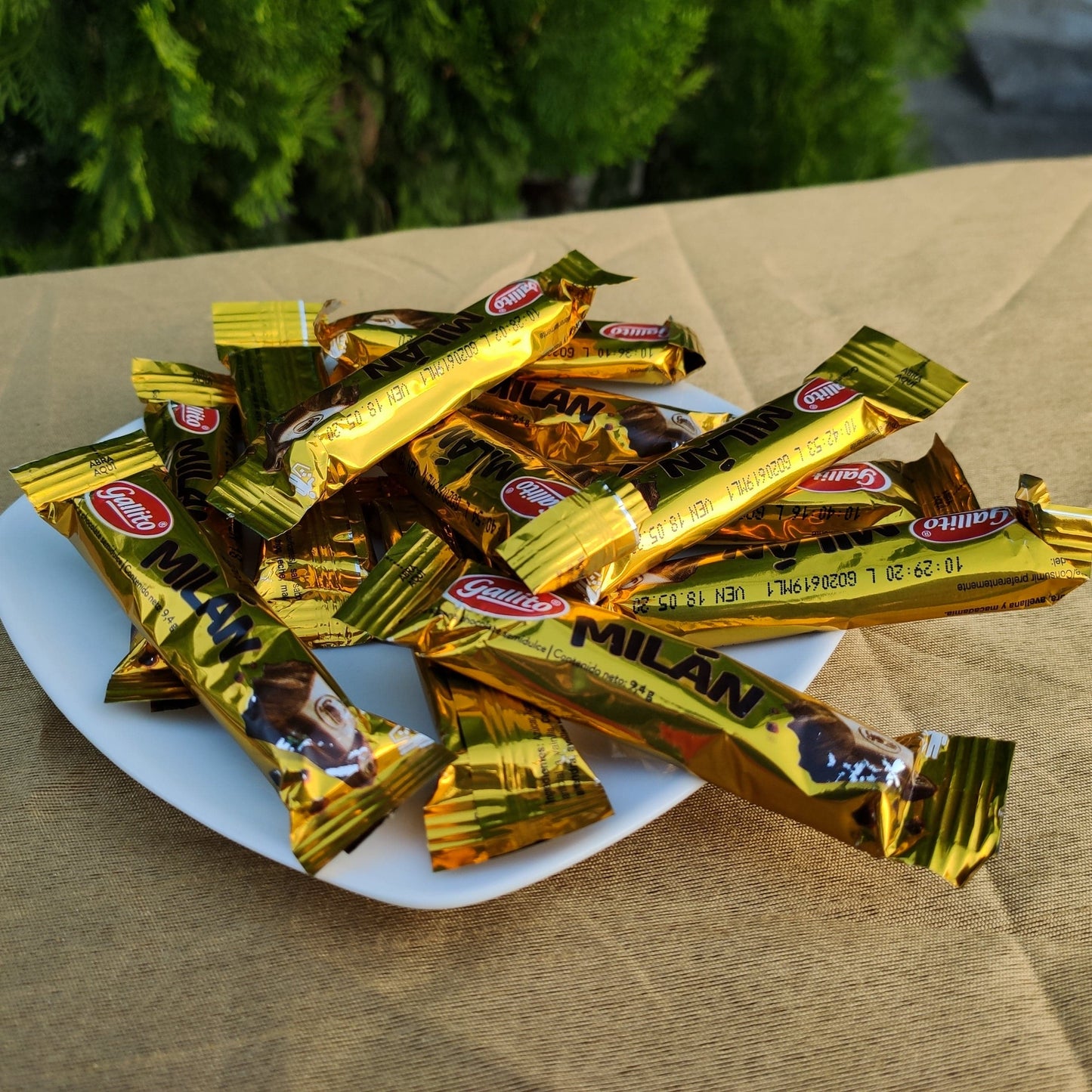 Chocolate Gallito Milan. Paquete de 12 unidades. 113g