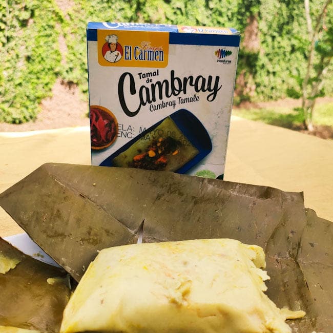 Tamales de Cerdo, Pollo, Cambray o de Frijol. 300g