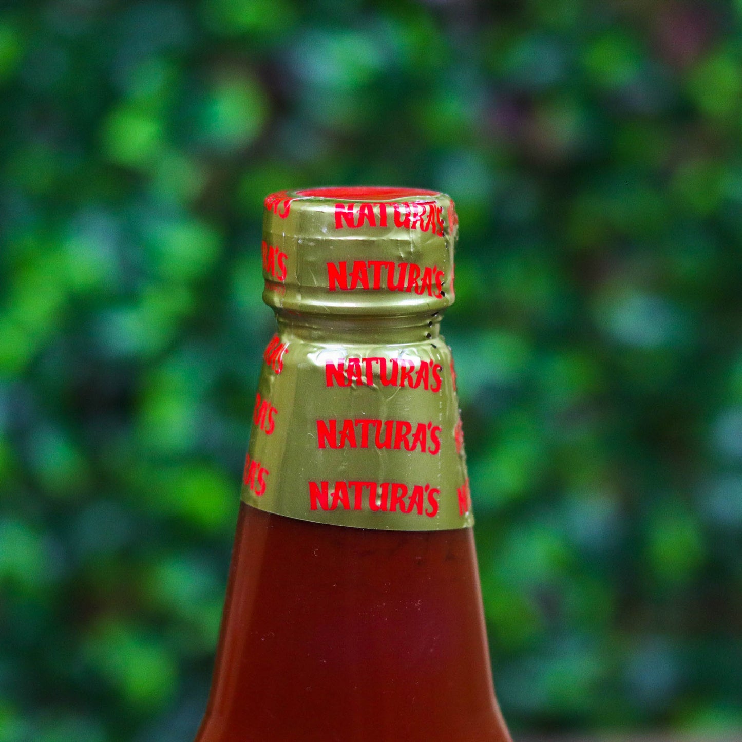 Salsa de Tomate (Ketchup) Naturas. Bote grande. Naturas. 385g