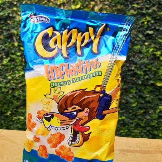 Cappy Grandes. Varios sabores. 75g